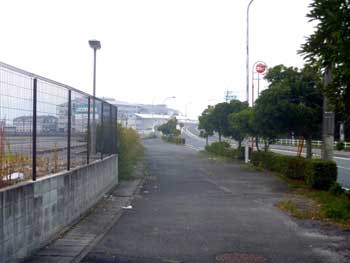 P1010493.jpg