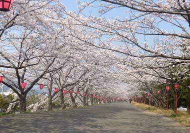 P1010812.jpg