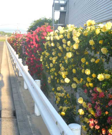 P1020034.jpg