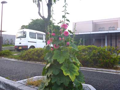 P1020109.jpg