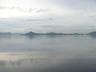 P1020254.jpg
