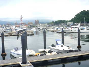 P1020321.jpg
