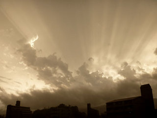 P1020344.jpg