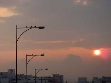 P1020434.jpg