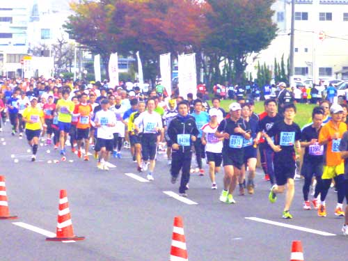 P1020991.jpg