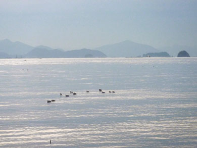 P1030139.jpg