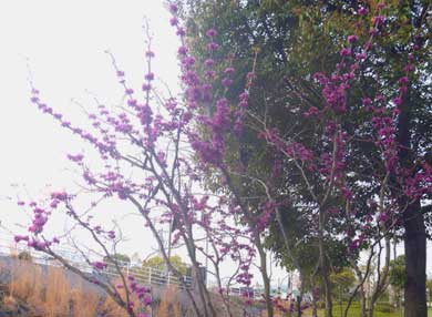 P1040103.jpg