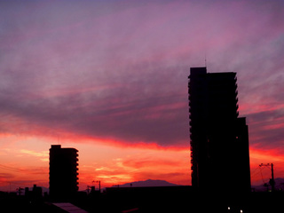 P1040956.jpg