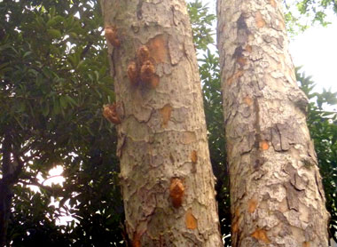 P1050003.jpg