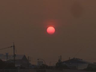P1050341.jpg