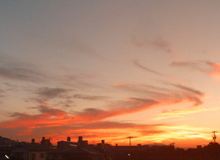 P1050425.jpg
