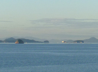 P1050439.jpg