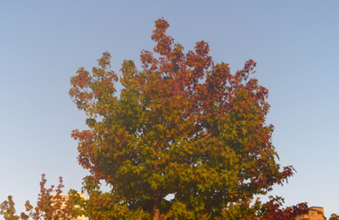 P1050630.JPG