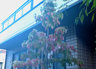 P1050665.jpg