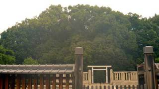 P1050829.jpg