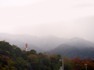 P1060194.jpg