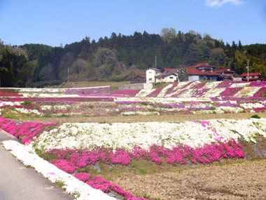 P1070035.jpg