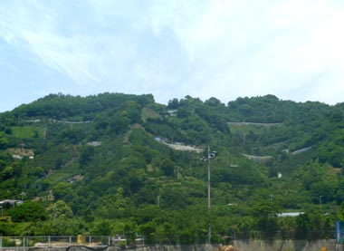 P1070300.jpg