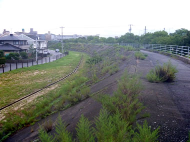 P1070733.jpg