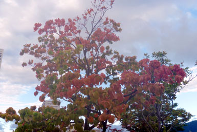 P1080008.jpg