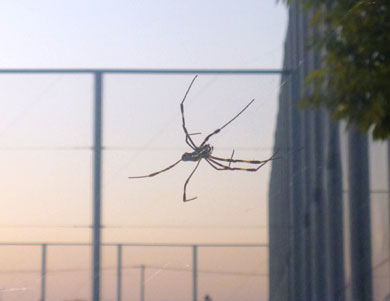 P1080030.jpg