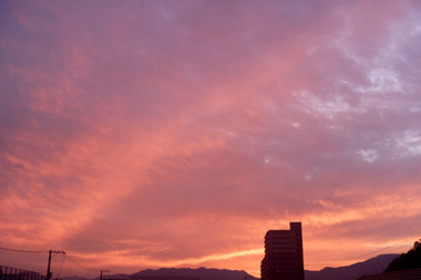 P1080063.jpg