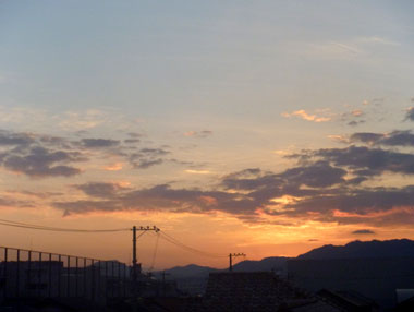P21080285.jpg