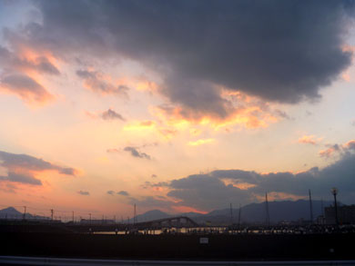 P21080479.jpg