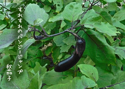 akinasubi20170916.jpg