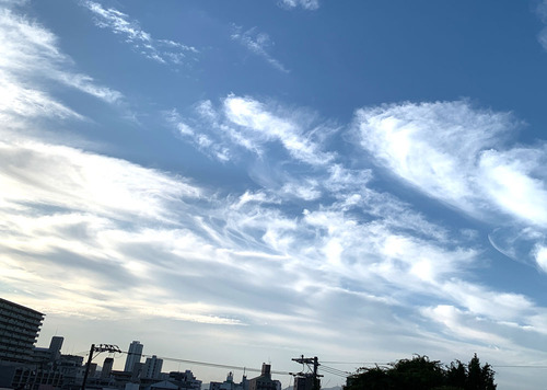 akinokumo231011.jpg