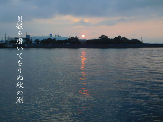 akinosio20190825.jpg