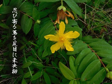 byouyanagi4423-(14).jpg