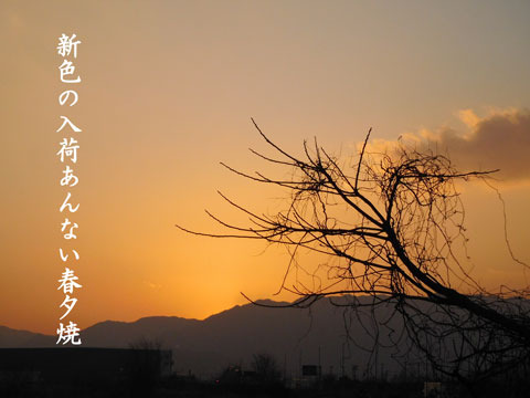 haruyuuyake20190206.jpg
