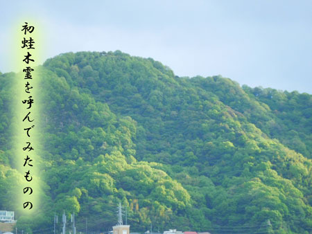 hatugaeru20180428.jpg