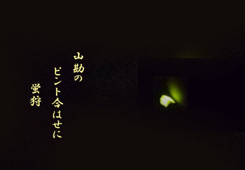 hotaru20190701.jpg