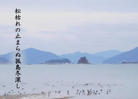 huyuhukasi20190125.jpg