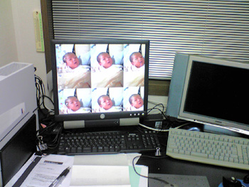k2010106.jpg