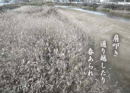 kawara518.jpg