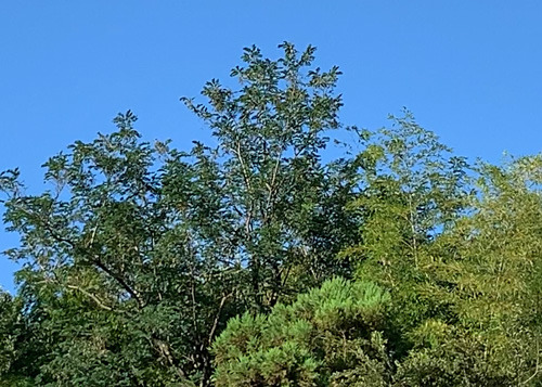 koyama240801.jpg