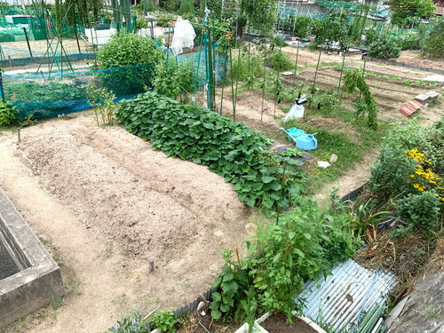 kugatujin210928.jpg