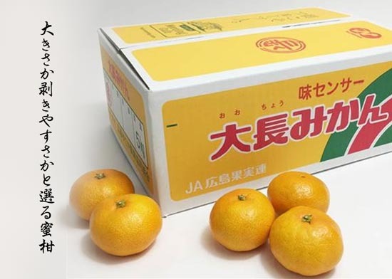 mikan20191201.jpg