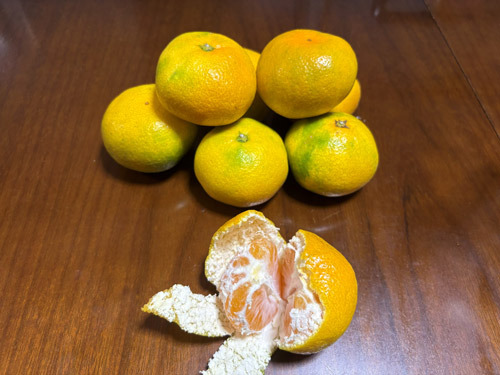 エントリ画像