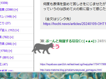 neko240109.jpg