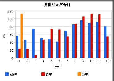run201101.jpg