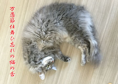 sigatubaka20180401.jpg