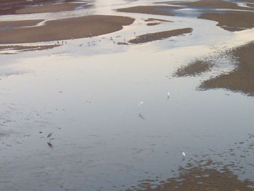 sirasagi0826.jpg