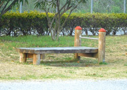 situp8214.jpg