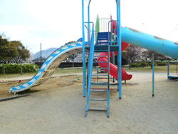suberidai8217.jpg