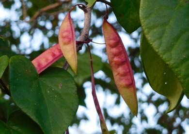 suounotene20160820.jpg