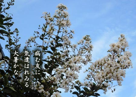taisyo20180730.jpg